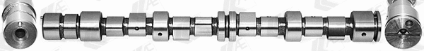 Camshaft (WG1171824)