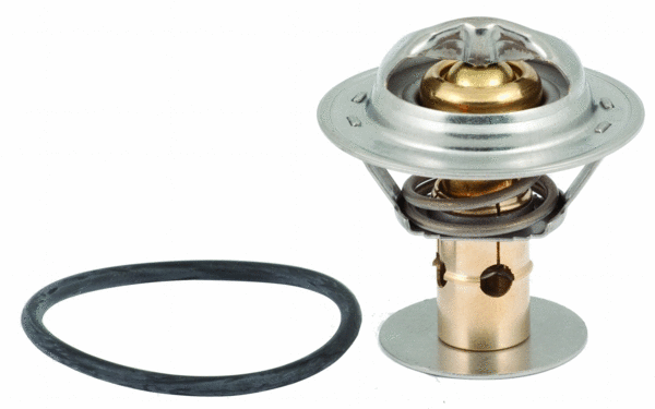 Thermostat, coolant (WG1409305)