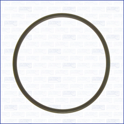 Gasket, vacuum pump (WG2080861)