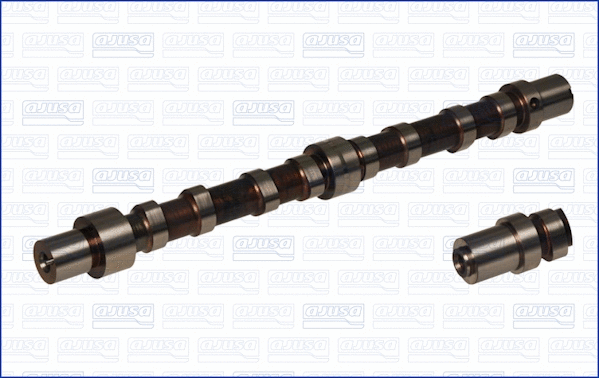 Camshaft (WG1343352)