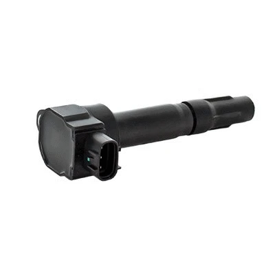 Ignition Coil (WG1902123)