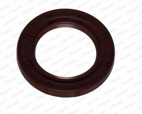 Shaft Seal, crankshaft (WG1183288)