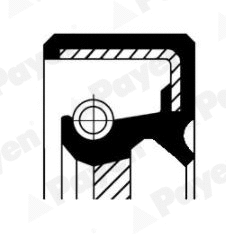 Shaft Seal, manual transmission (WG1184039)