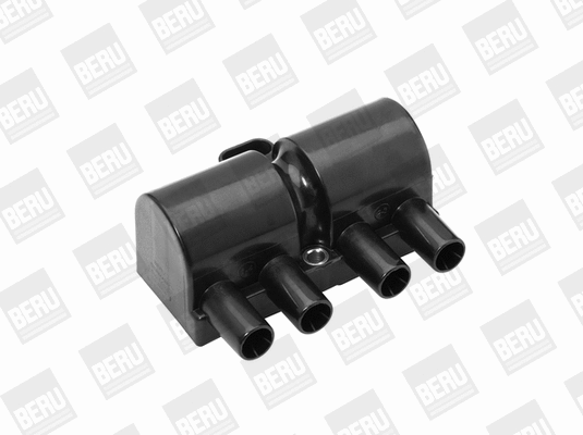 Ignition Coil (WG1487480)
