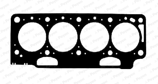 Gasket, cylinder head (WG1176579)
