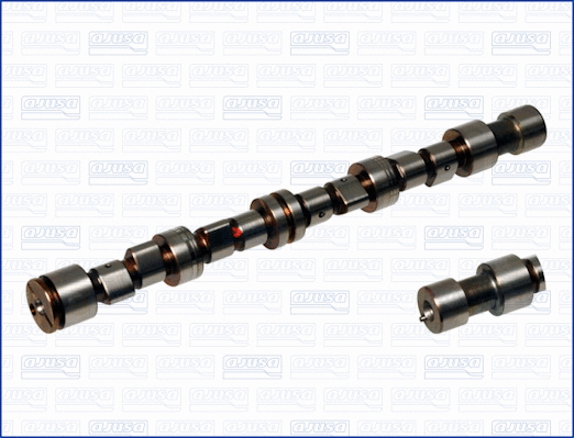 Camshaft (WG1170861)