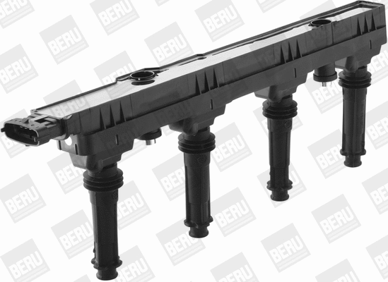 Ignition Coil (WG1487613)