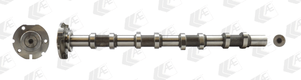 Camshaft (WG1171891)