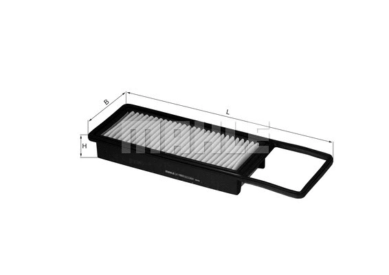 Air Filter (WG1216149)