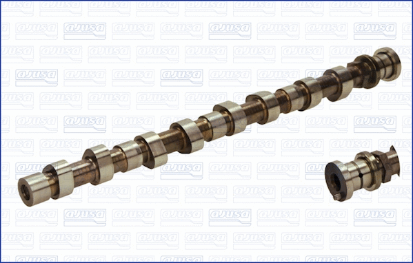 Camshaft (WG1456500)