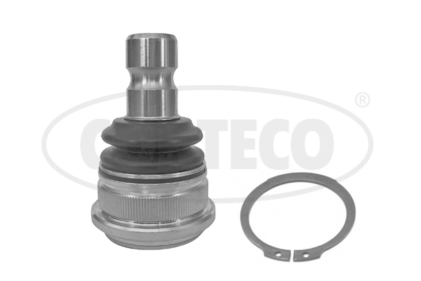 Ball Joint (WG2288463)