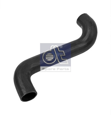 Radiator Hose (WG2316429)