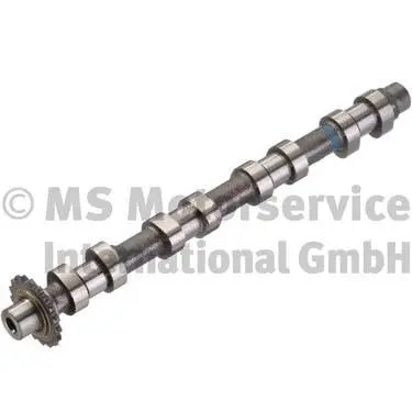 Camshaft (WG1380610)
