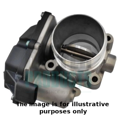 Throttle Body (WG1899289)