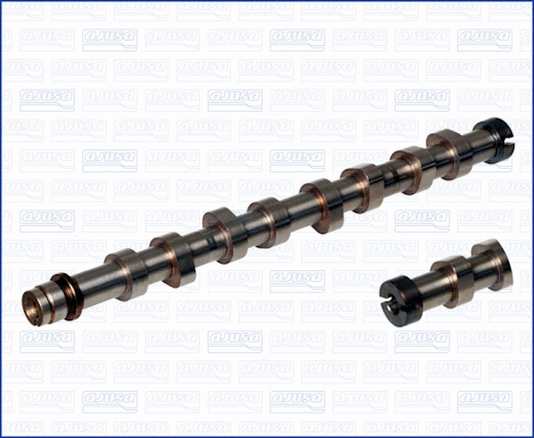 Camshaft (WG1754018)