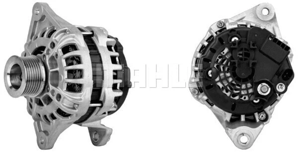Alternator (WG2203004)