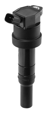 Ignition Coil (WG1487496)