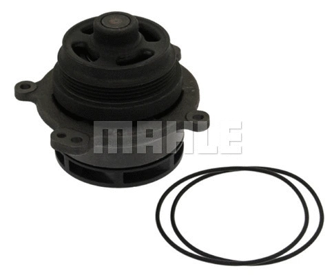 Water Pump, engine cooling (WG2181927)