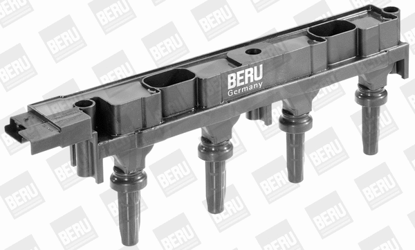 Ignition Coil (WG1487409)