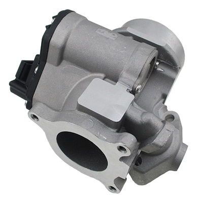 EGR Valve (WG2042776)