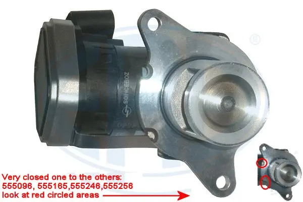 EGR Valve (WG1494667)