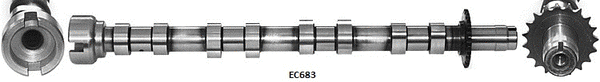 Camshaft (WG1796165)
