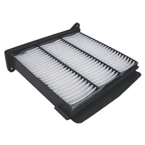 Filter, cabin air (WG1774700)