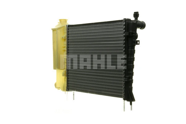 Radiator, engine cooling (WG2183170)