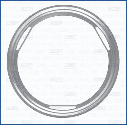 Gasket, exhaust pipe (WG1956867)