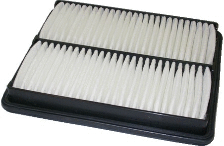 Air Filter (WG1746795)