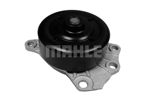 Water Pump, engine cooling (WG2182073)