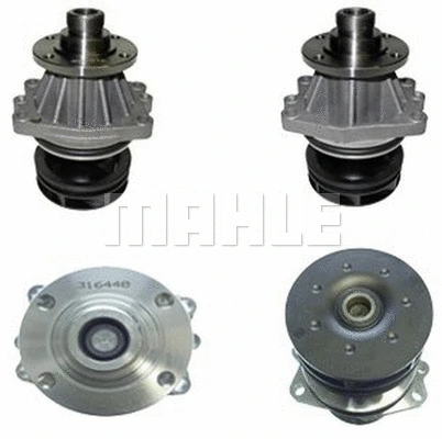 Water Pump, engine cooling (WG2181408)