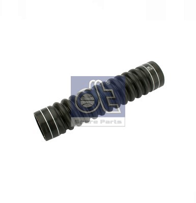 Radiator Hose (WG2306414)