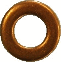 Seal Ring, nozzle holder (WG1012104)