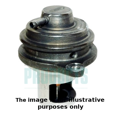 EGR Valve (WG1903839)