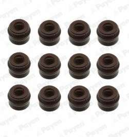 Seal Set, valve stem (WG1181234)
