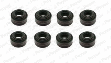 Seal Set, valve stem (WG1181330)