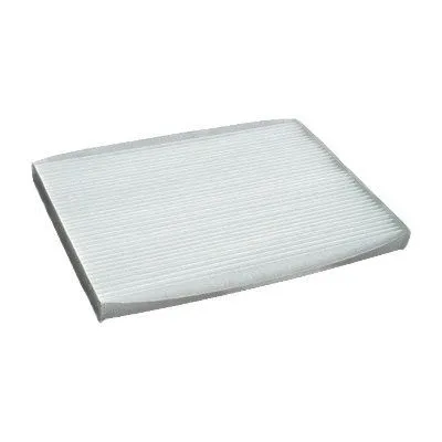 Filter, cabin air (WG1747262)