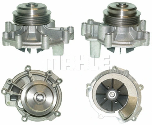 Water Pump, engine cooling (WG2181716)