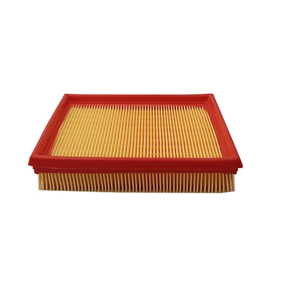 Air Filter (WG2152044)