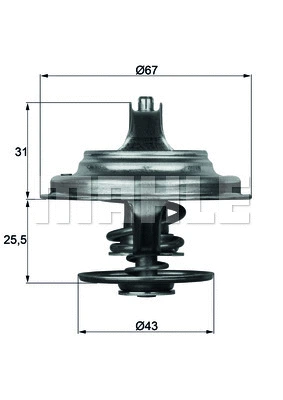 Thermostat, coolant (WG1104807)