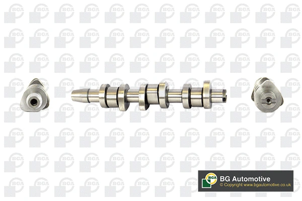 Camshaft (WG1490602)