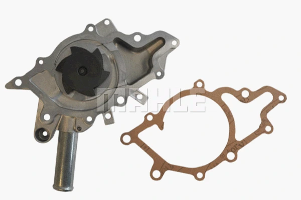 Water Pump, engine cooling (WG2181487)