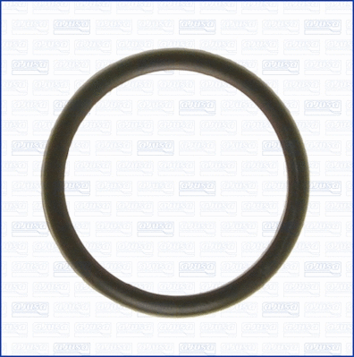 Seal, thermostat (WG1751099)
