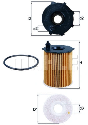 Oil Filter (WG1217310)