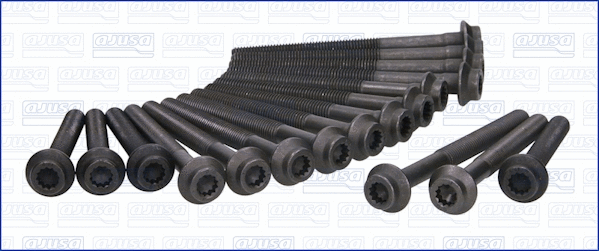 Cylinder Head Bolt Set (WG1009596)