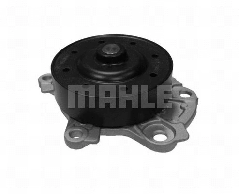 Water Pump, engine cooling (WG2181982)