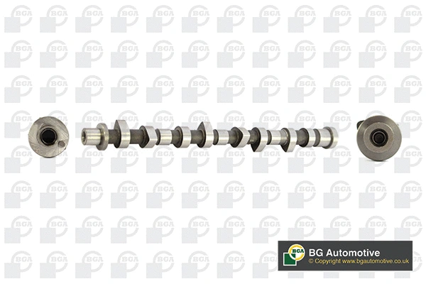 Camshaft (WG1490552)