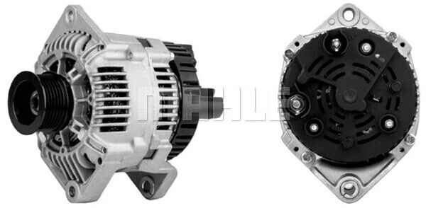 Alternator (WG2203016)