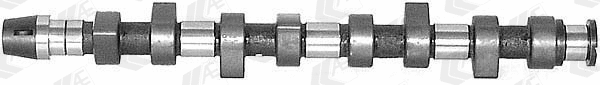 Camshaft (WG1171857)